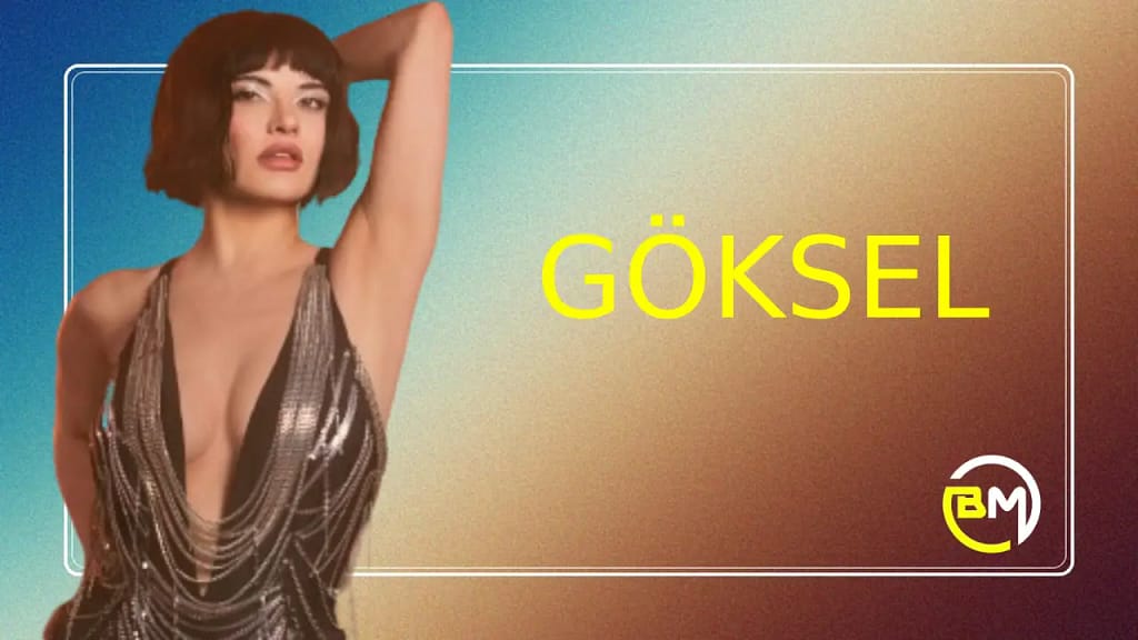 Göksel Menajeri | İletişim – 0216 378 59 59 | Telefon